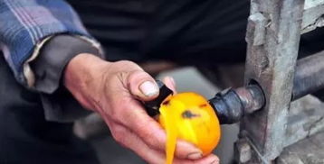 鄉村旅游規劃設計 賺取農業行業90%收入的初級農產品模式探索