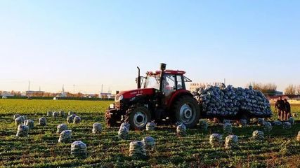 快遞業發展加速與服務規范并行 從業務量第一到保價費爭議