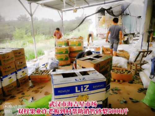 線上線下齊發(fā)力，石橋驛鎮(zhèn)為滯銷農(nóng)產(chǎn)品打開新銷路